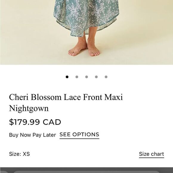 Papinelle NWT Cotton Silk Cheri Blossom Lace Front Maxi Nightgown XL - Picture 7 of 14